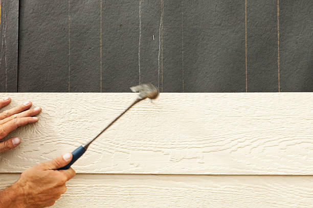 Best Brick Veneer Siding  in Palmer Ranch, FL